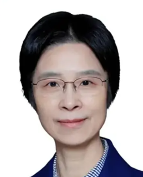 江小涓.全球数字经济大会国际顾问委员会联席主席
